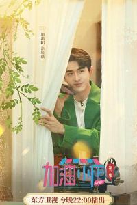 ���ͣ�С��