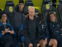 ¼ ɵvs (ͿԶ) 20240209