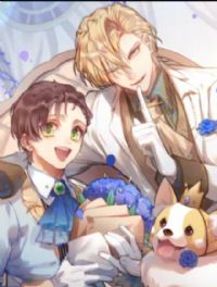 �����������޳�