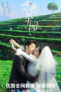 ������԰