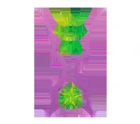 �������ޱ�1/4���� �Ĵ�����vs���ɱ�20250813