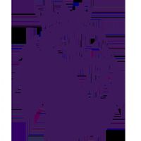 Ӣ������ ������VS����é˹20260211